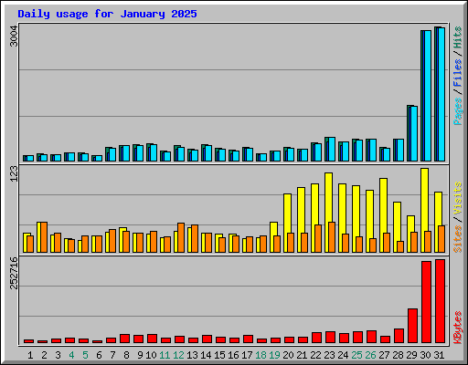 Daily usage for January 2025