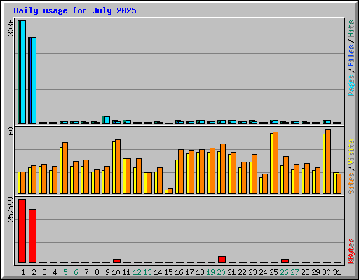 Daily usage for July 2025