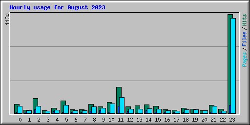 Hourly usage for August 2023