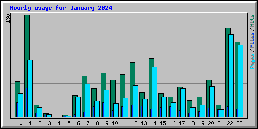 Hourly usage for January 2024