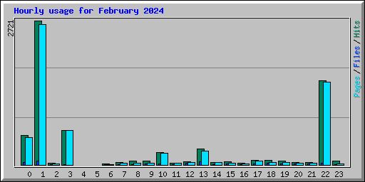 Hourly usage for February 2024