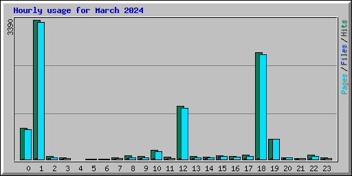Hourly usage for March 2024