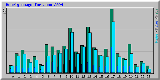 Hourly usage for June 2024