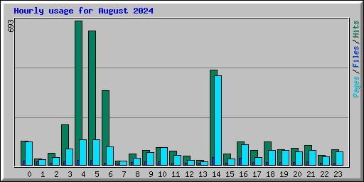 Hourly usage for August 2024