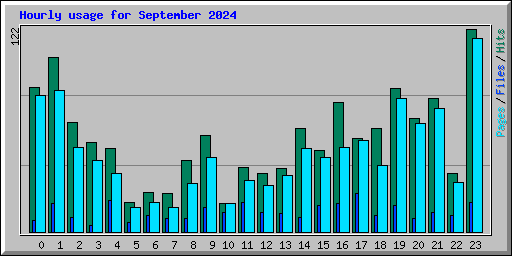 Hourly usage for September 2024