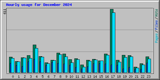 Hourly usage for December 2024