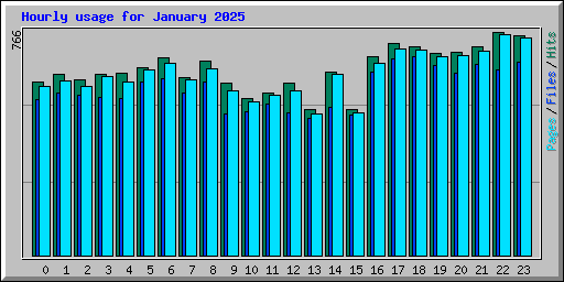 Hourly usage for January 2025