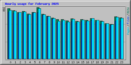 Hourly usage for February 2025