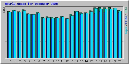 Hourly usage for December 2025