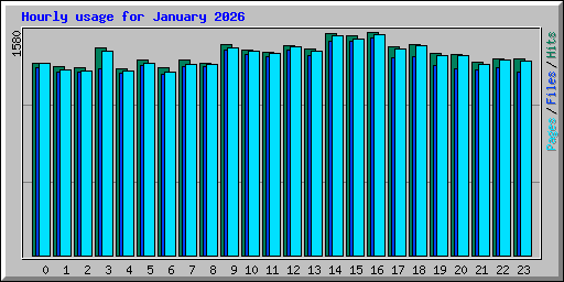 Hourly usage for January 2026
