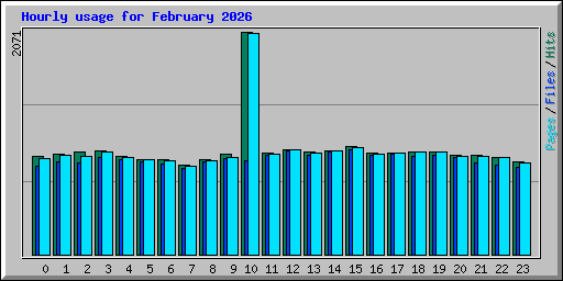 Hourly usage for February 2026